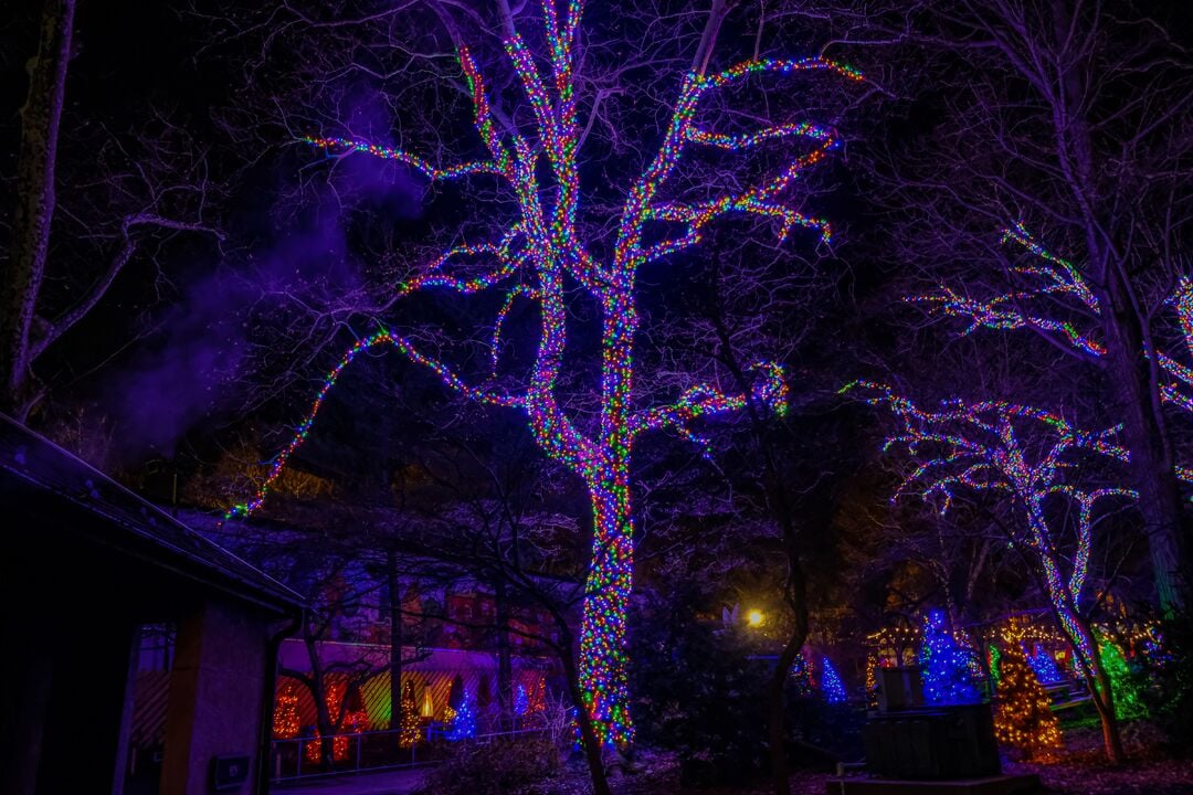 LumiNature, Philadelphia Zoo