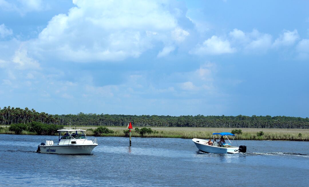 Hernando Gulf of Mexico