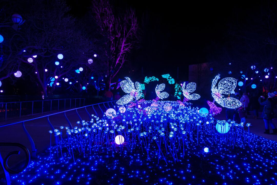 LumiNature, Philadelphia Zoo