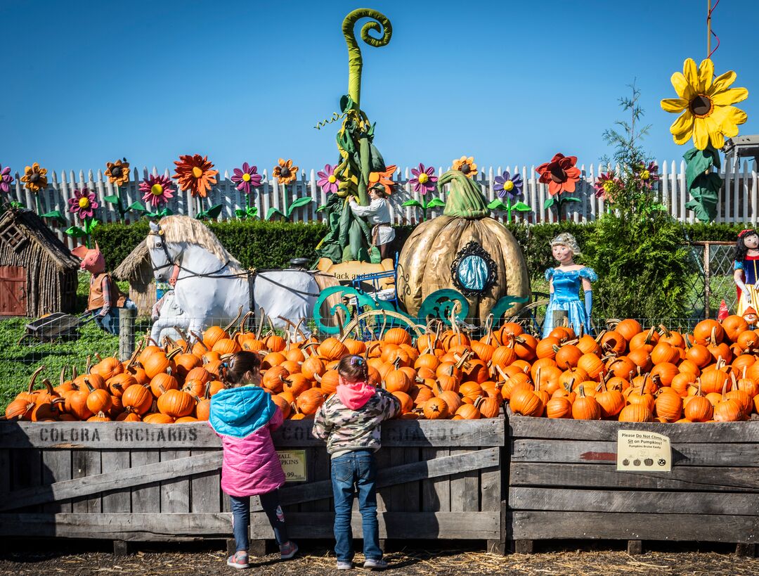 Linvilla Orchards