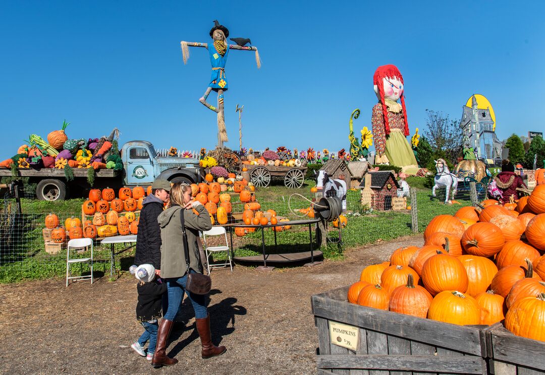 Linvilla Orchards