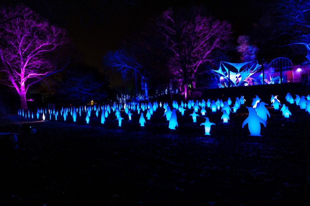 LumiNature, Philadelphia Zoo