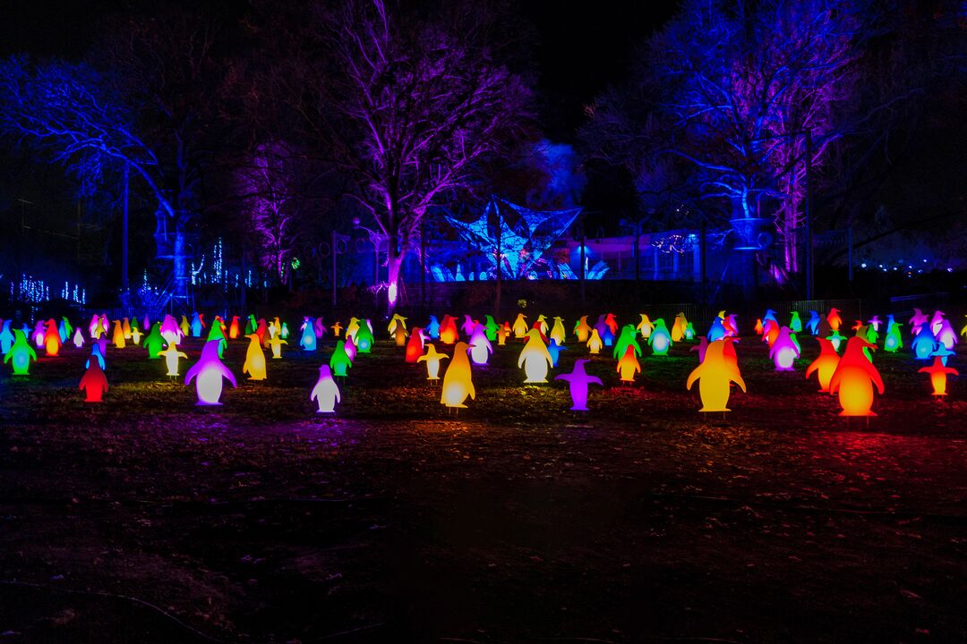 LumiNature, Philadelphia Zoo