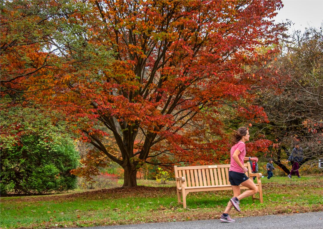 Tyler Arboretum