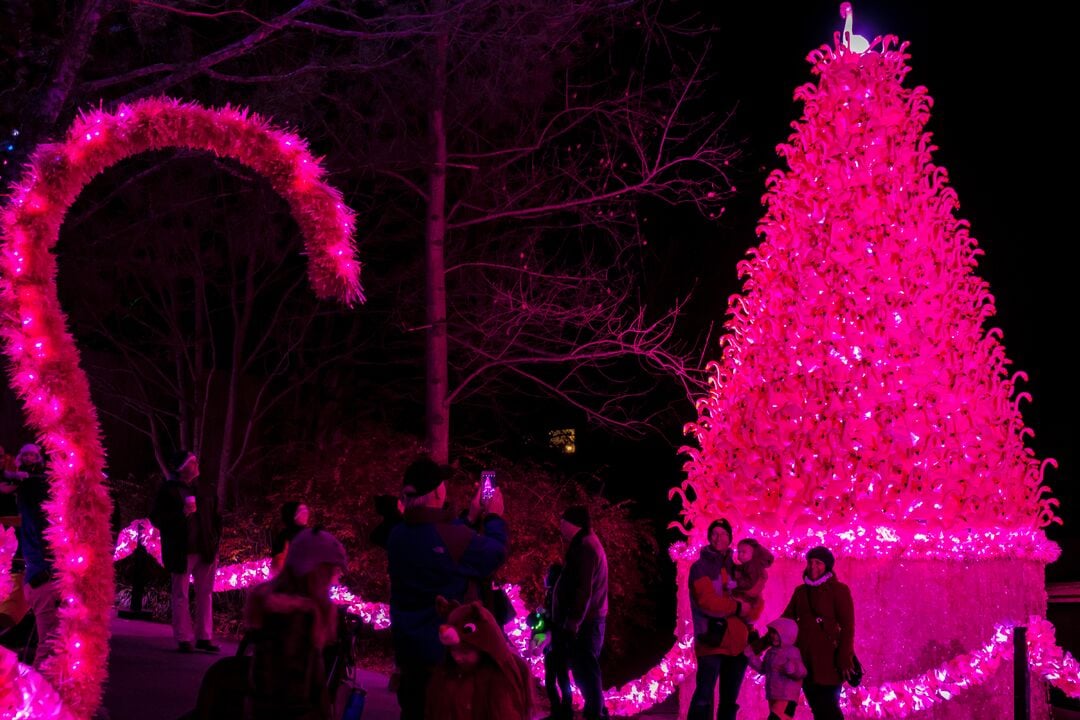 LumiNature, Philadelphia Zoo