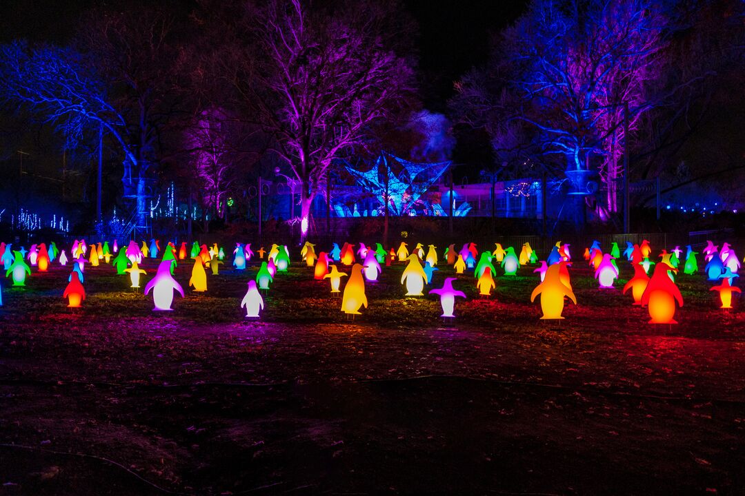 LumiNature, Philadelphia Zoo