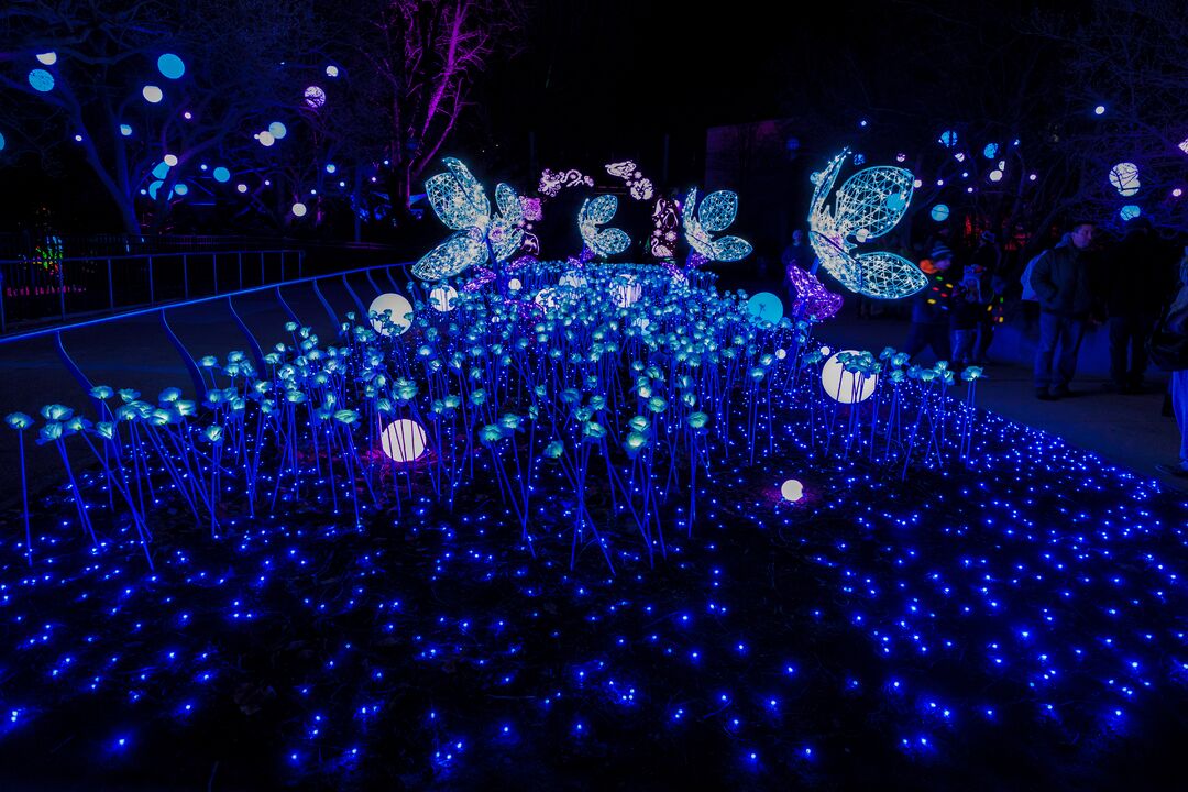 LumiNature, Philadelphia Zoo