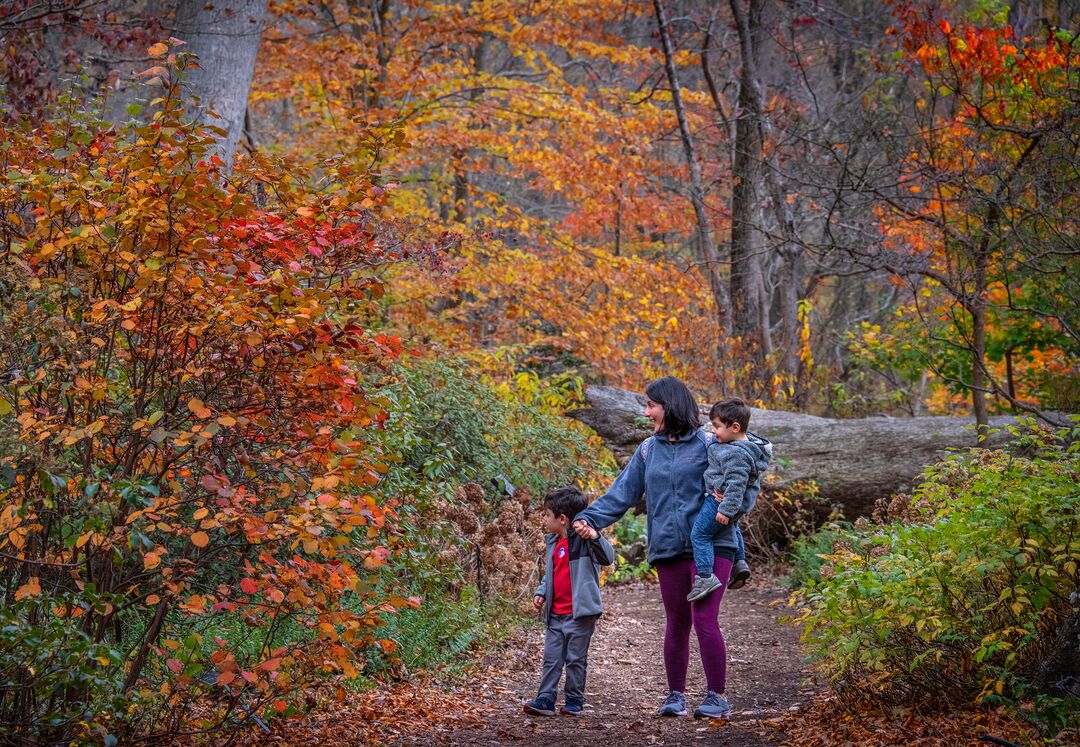 Tyler Arboretum