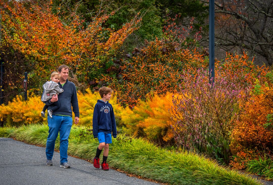 Tyler Arboretum