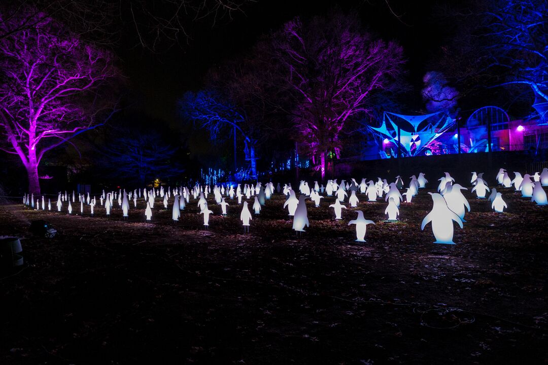 LumiNature, Philadelphia Zoo