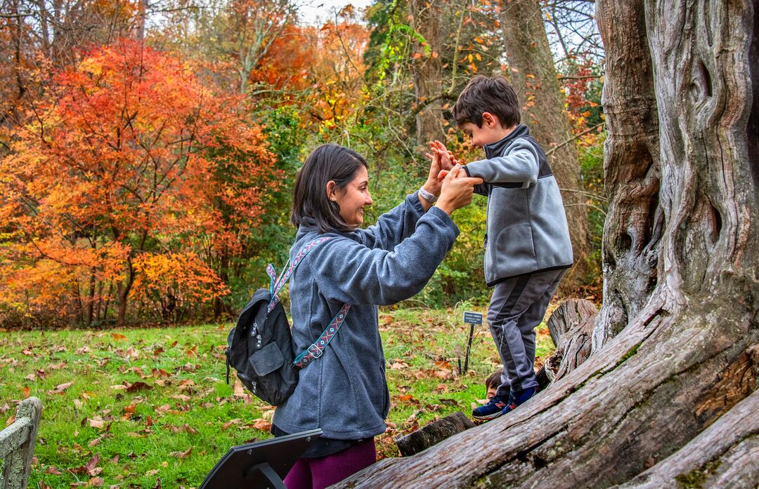 Tyler Arboretum