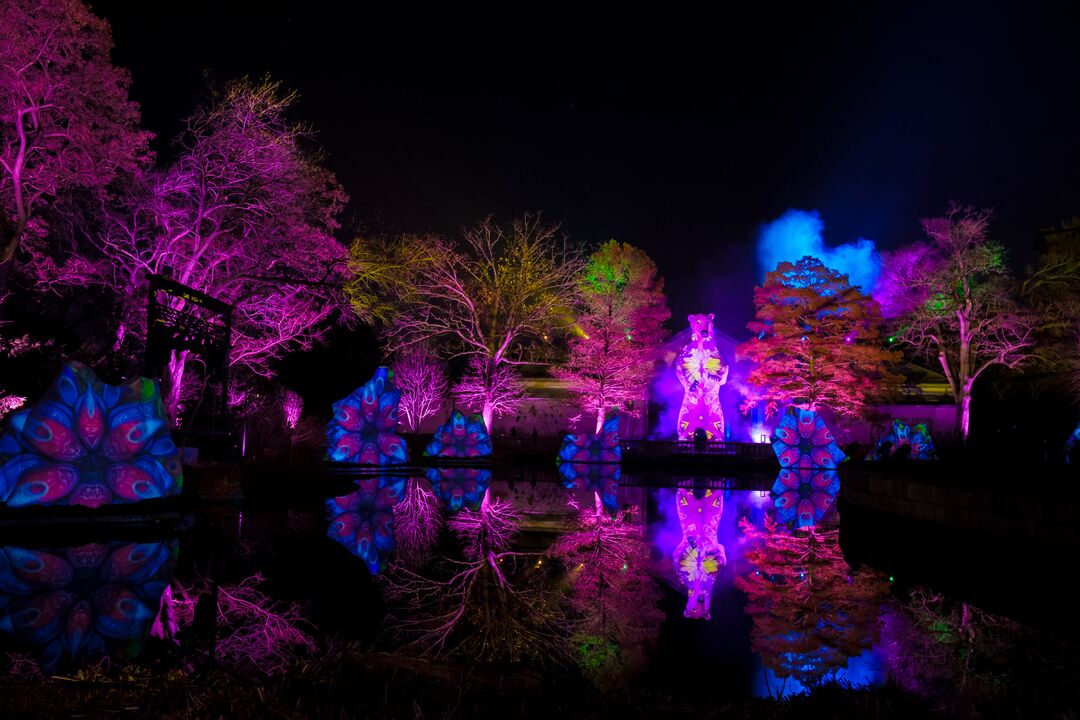 LumiNature, Philadelphia Zoo