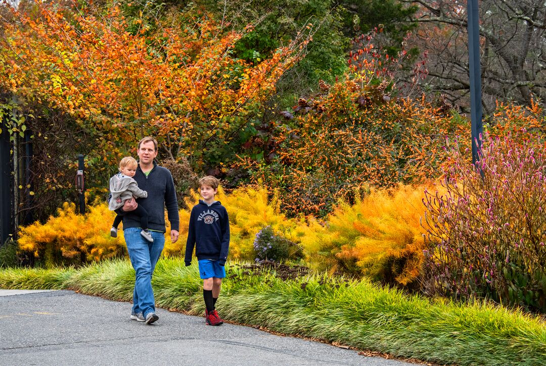 Tyler Arboretum
