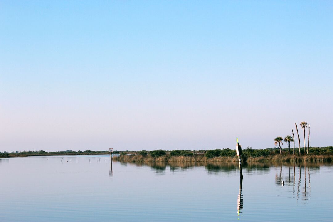 Hernando Gulf of Mexico