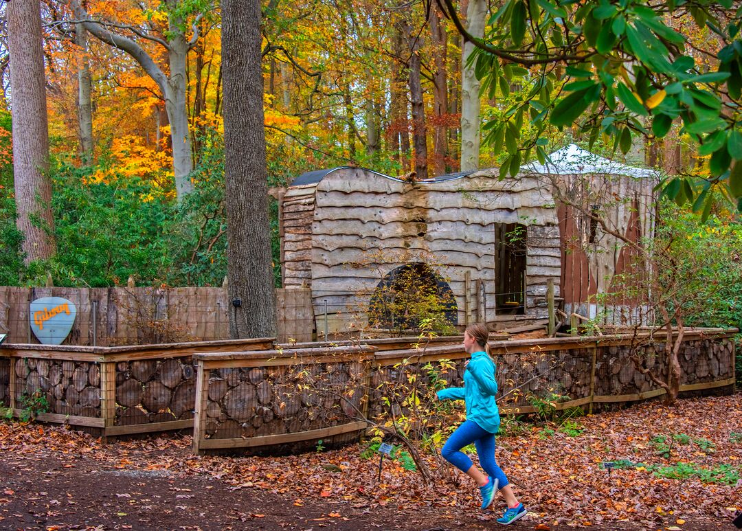 Tyler Arboretum