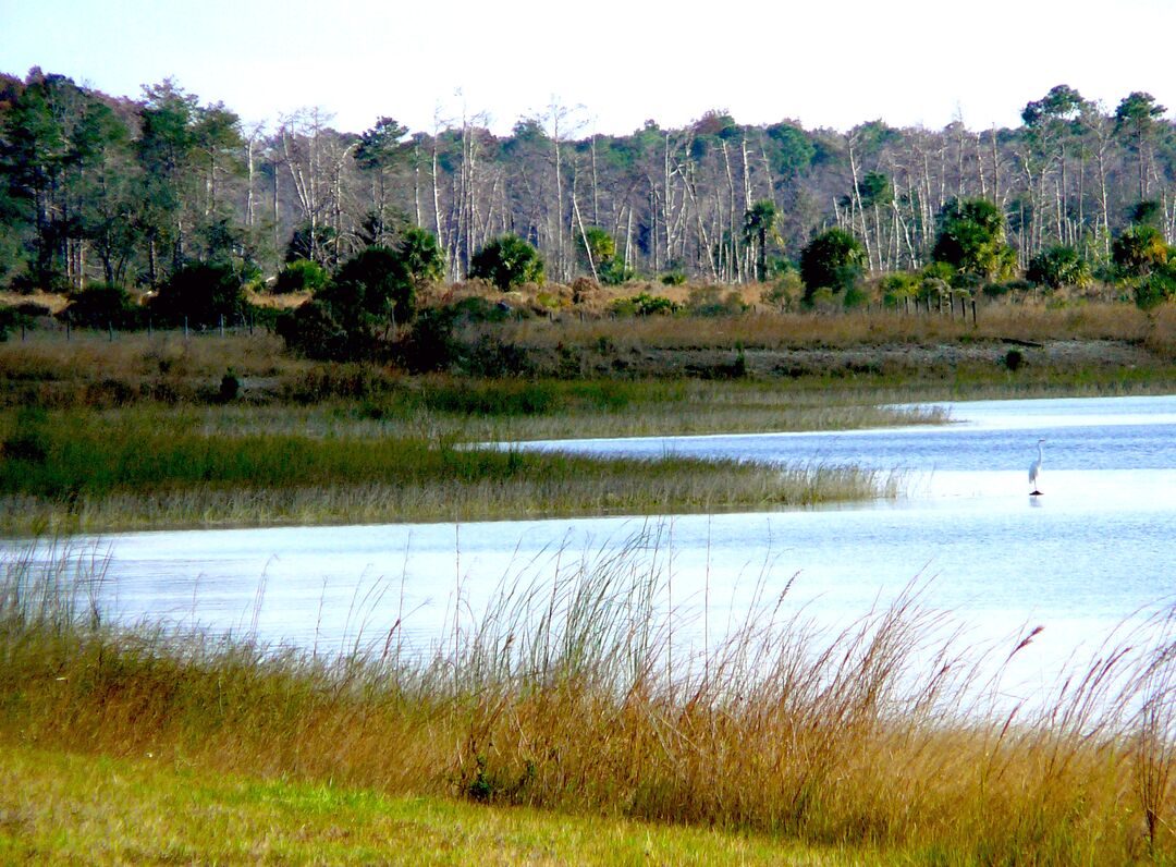 Weekiwachee Preserve, Spring Hill