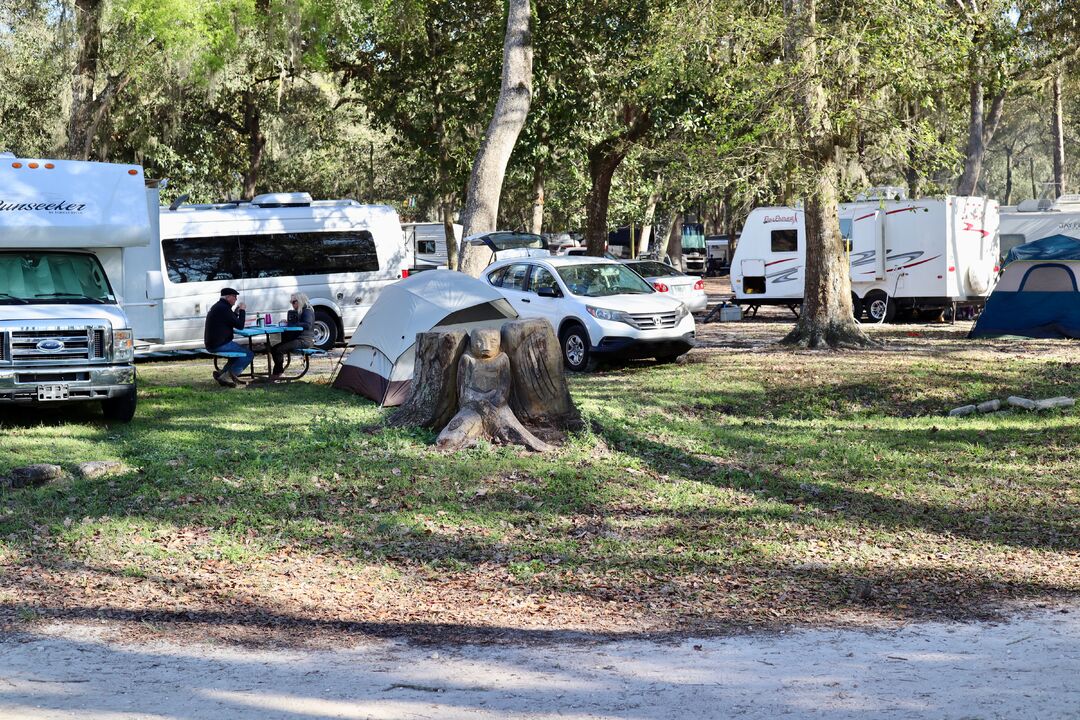 Sertoma Youth Ranch Celtic Festival Camping And RVs