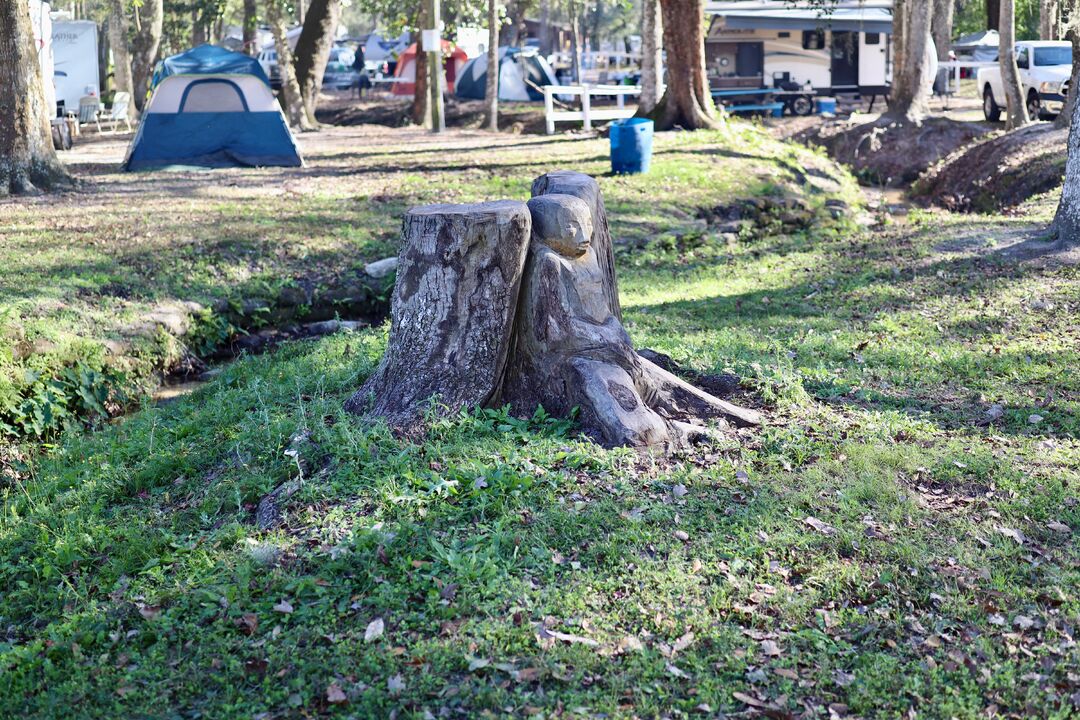 Sertoma Youth Ranch Tree Carvings