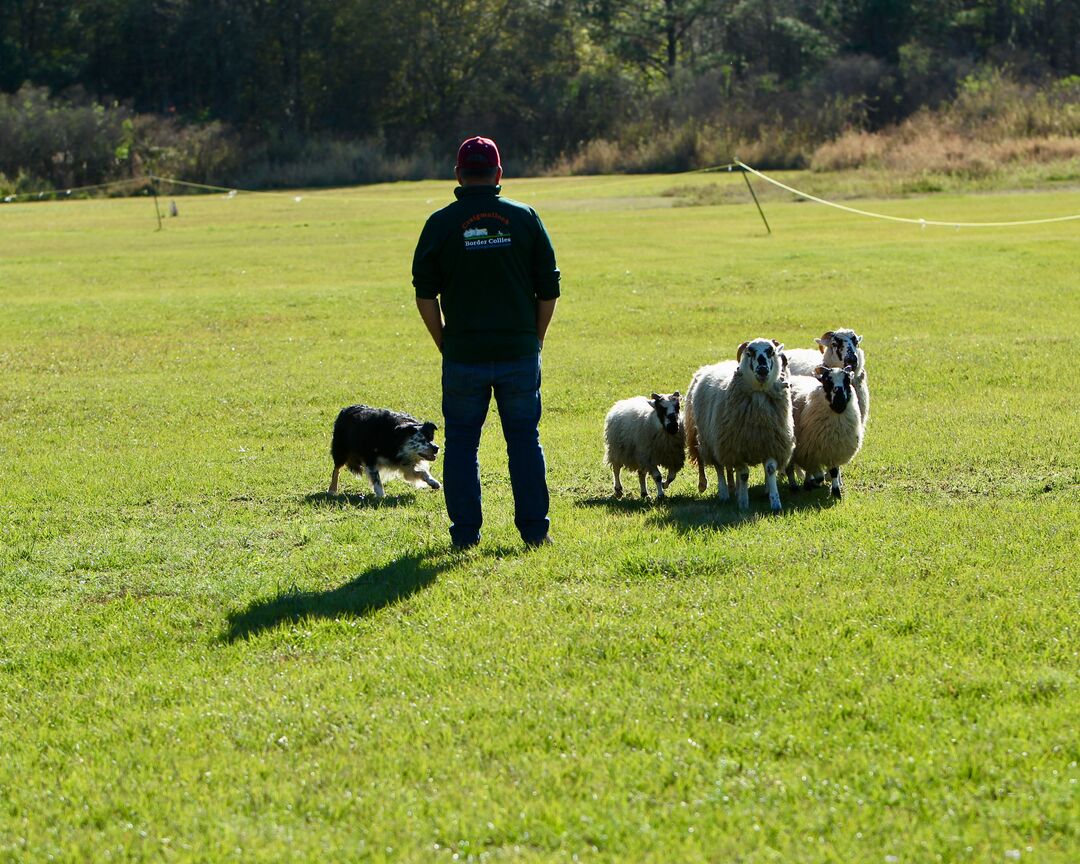 Sertoma Youth Ranch Celtic Festival Celtic Games