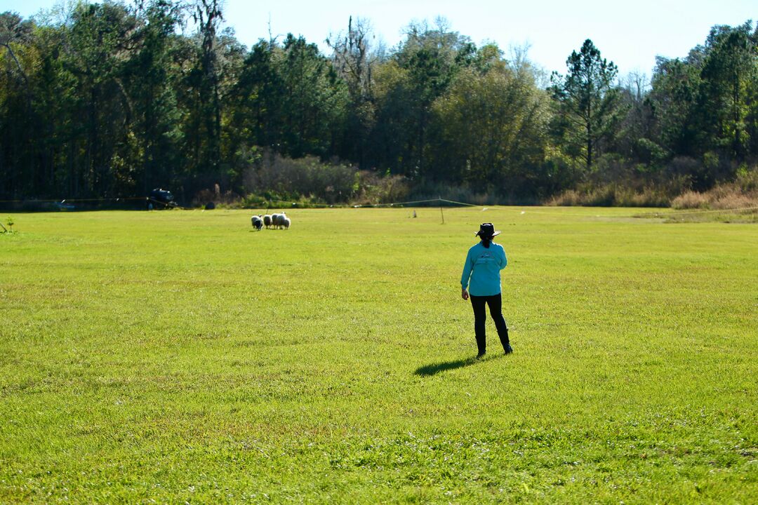 Sertoma Youth Ranch Celtic Festival Celtic Games