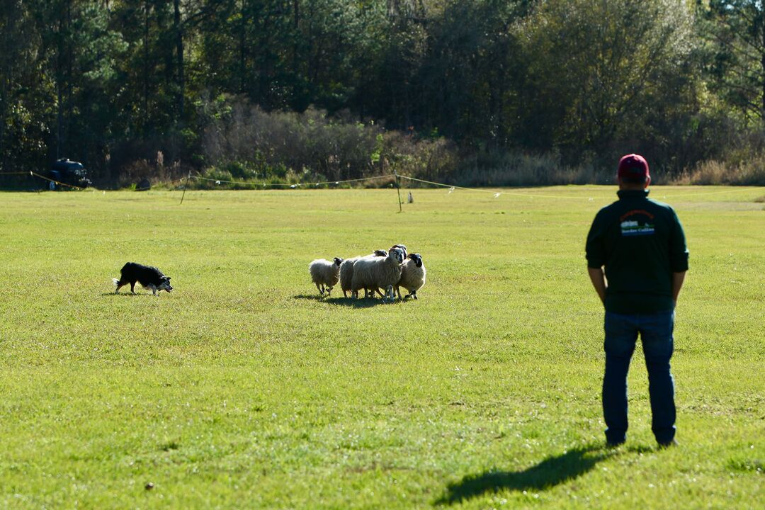 Sertoma Youth Ranch Celtic Festival Celtic Games