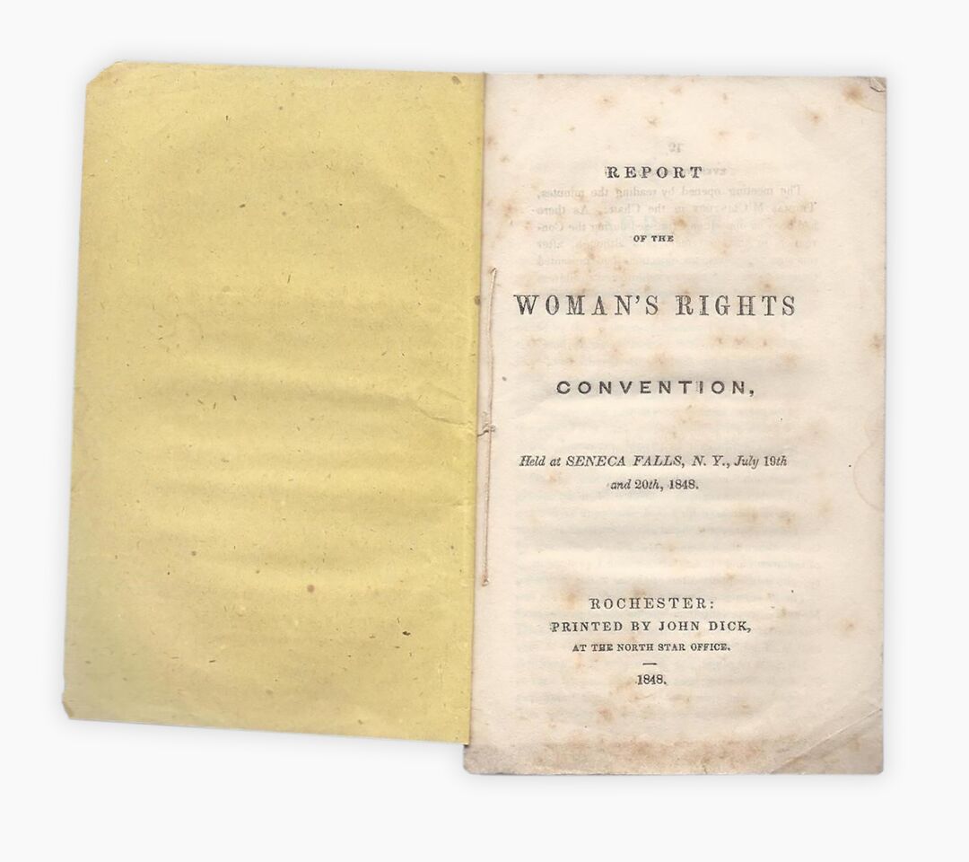 19th Amendment: Declaration of Sentiments