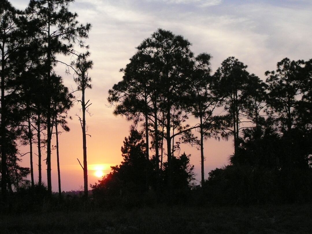 Weeki Wachee Preserve (6)