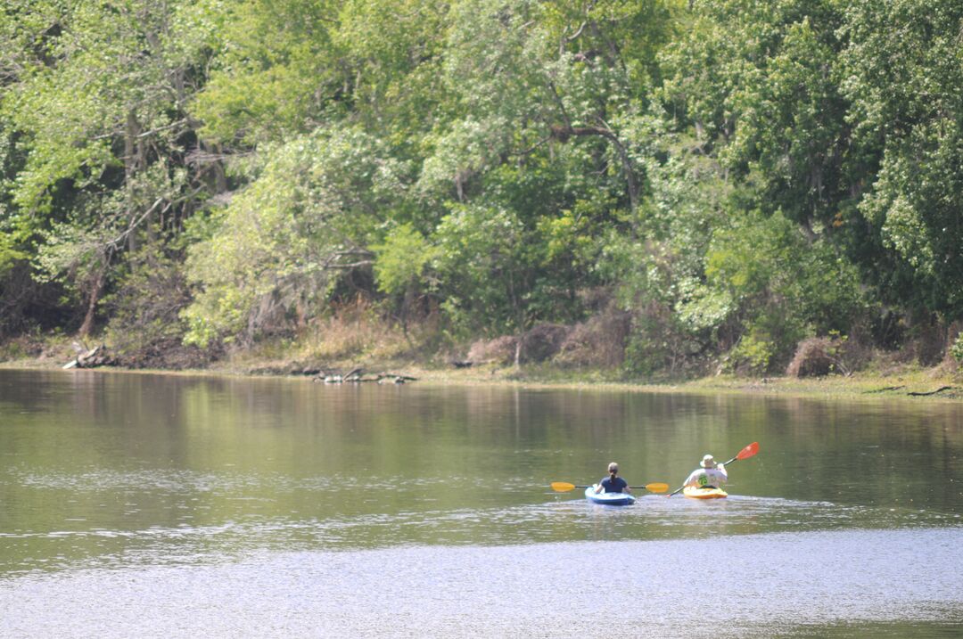 Canoers on Withlacoochee River (4)