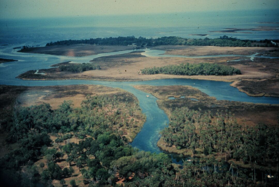 weekiwachee2