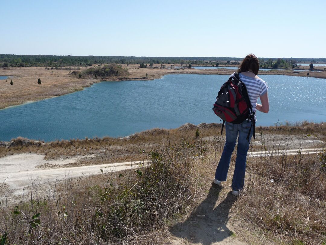 Weeki Wachee Preserve (2)