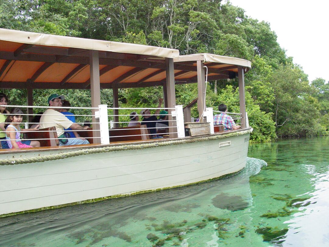 Weeki Wachee River Boat Ride