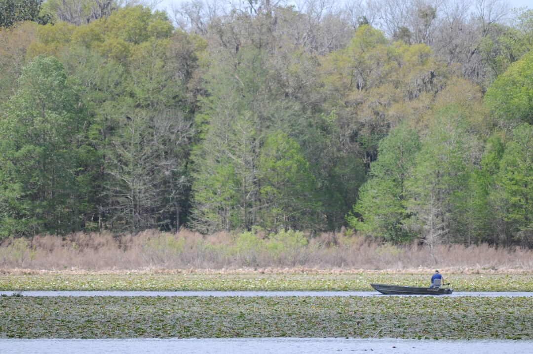 Lake Lindsey (2)