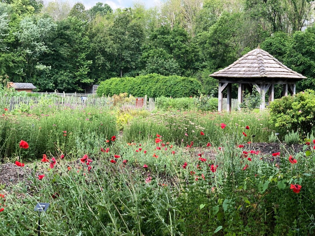 Hortus Medicus at Historic Bethabara Park