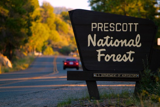 Prescott National Forest