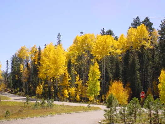 State route 67, Kaibab Plateau