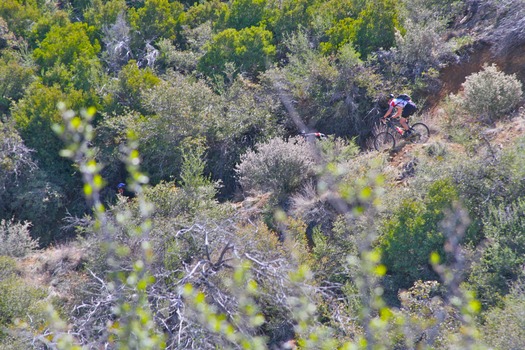 Prescott Mountain Biking