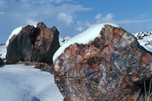 Petrified Forest National Park