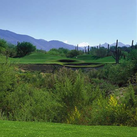 The Westin La Paloma Resort & Spa