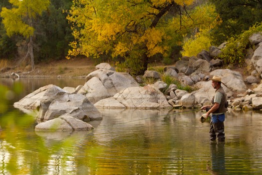 Fly Fishing