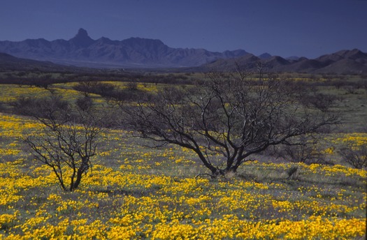 Buenos Aires National Wildlife Refuge