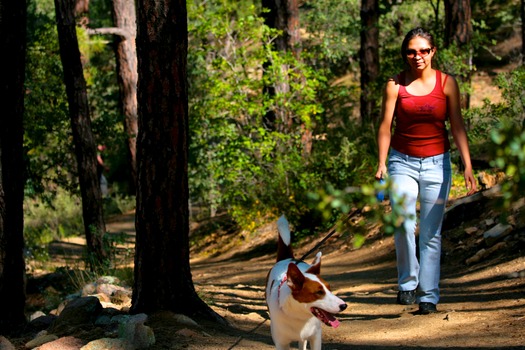 Prescott Hiking