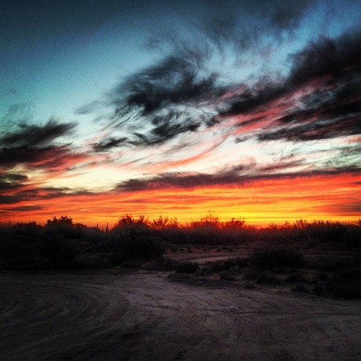 Phoenix Sunset