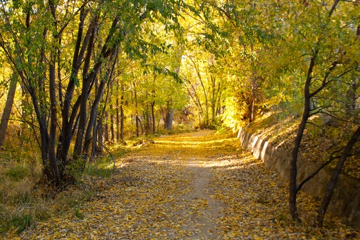 Greenway Trail Prescott