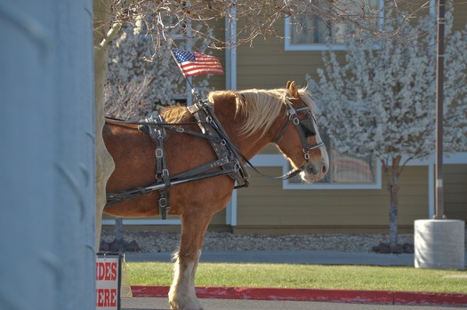 Downtown Williams