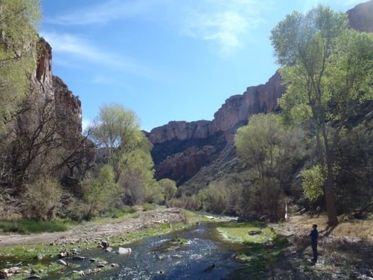 Aravaipa Canyon Wilderness