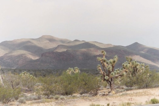 US 60, Joshua forest