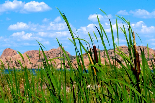 Watson Lake