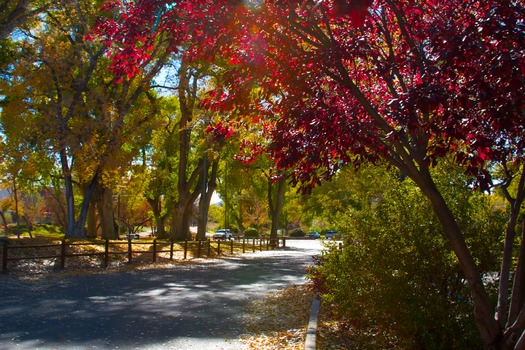 Granite Creek Park