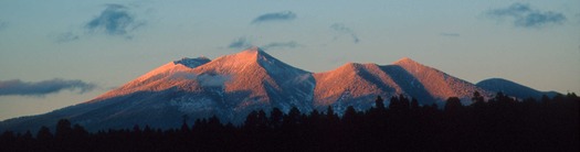 The Arboretum at Flagstaff