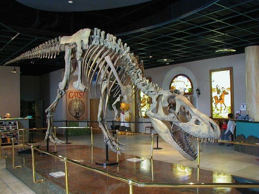 Arizona Museum of Natural History